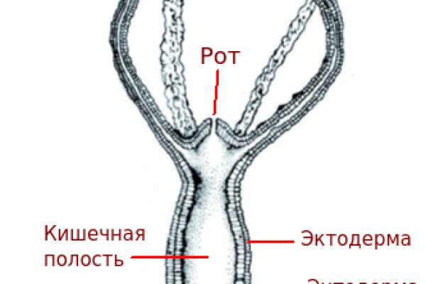 Магазин кракен как попасть