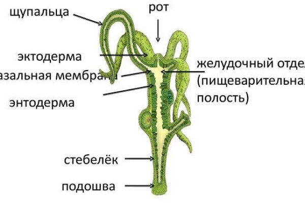 Сайт кракен онион