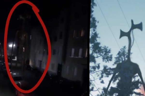 Kraken рабочее зеркало