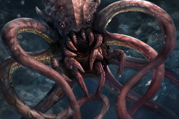 Kraken link