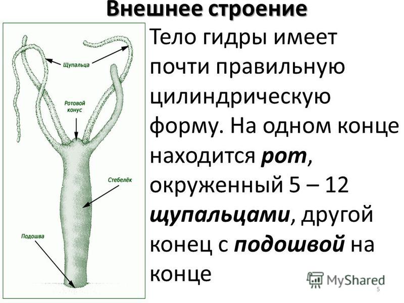 Ссылка на кракен тор kr2web in